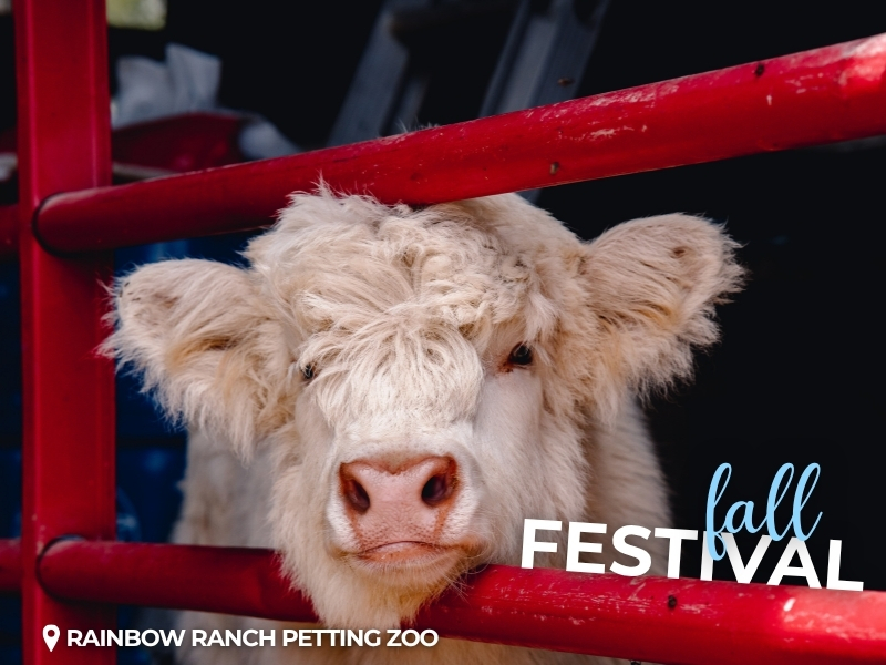 Rainbow Ranch Fall Fetival